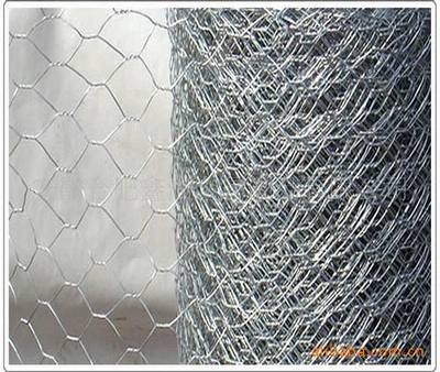 廠(chǎng)家直供優(yōu)質(zhì)低碳鋼鐵絲與裹塑絲六角網(wǎng) 性能、應(yīng)用與選購(gòu)指南